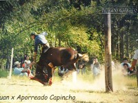 /album/galeria-de-fotos/sam-1928-jpg/